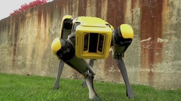 The New SpotMini Robot From Boston Dynamics Is Proof That The Future Is Now And Robots Will Take Over
