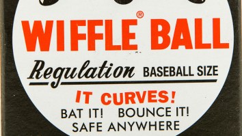 Wiffle Ball FINALLY Inducted Into The Toy Hall of Fame! Celebrate With Some Mind-Blowing Wiffle Ball Moments