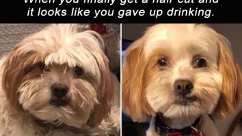 57 Of The Best Damn Photos On The Internet This Morning