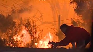 Man Becomes Internet Hero After Video Of Him Saving A Rabbit From California Fires Goes Viral