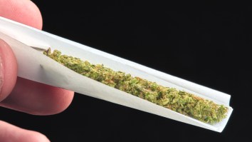 New Study Finds Marijuana Use May Significantly Lower Liver Disease Risk