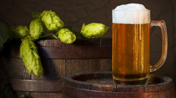 The List Of The Most Popular Craft Beers Of 2017 Proves IPAs Reign Supreme