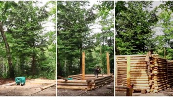 Time Lapse Of One Man Building A Log Cabin In The Woods From Scratch