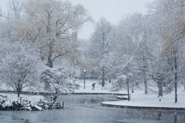 Public garden in snowstorm, Boston