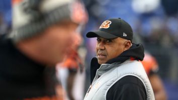 Bengals Fans Lose Their Mind When The Team Announced They Had Signed Marvin Lewis To Two Year Extension