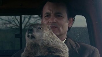 Why Do We Pull A Groundhog Out To Predict The Weather? There’s Actually A Pretty Good Explanation