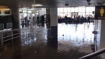 JFK Airport Underwater, Near Riots Breaking Out, Travelers Stranded After Bomb Cyclone Causes Chaos