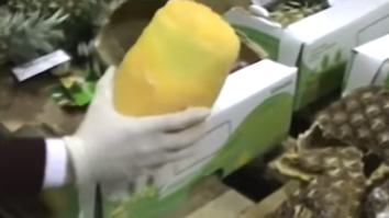 Police Seize Over 1,600 Pounds Of Cocaine Hidden Inside Pineapples
