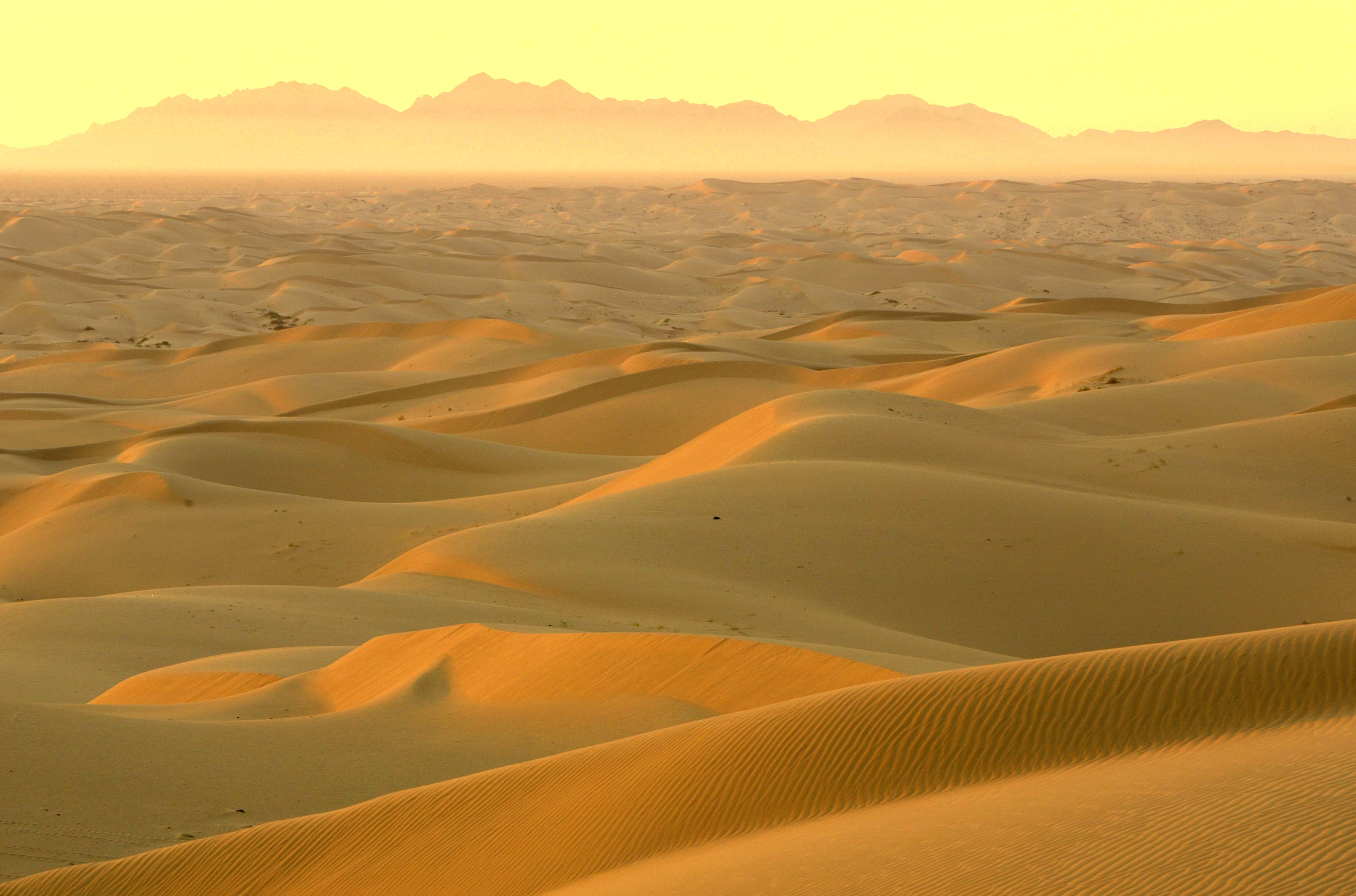 Горячий ветер африки 5 букв. Пустыня Вахиба Сэндс. Пустыня Вахиба Оман. Пустыня зазеленела. Пустыня сахара зазеленела.