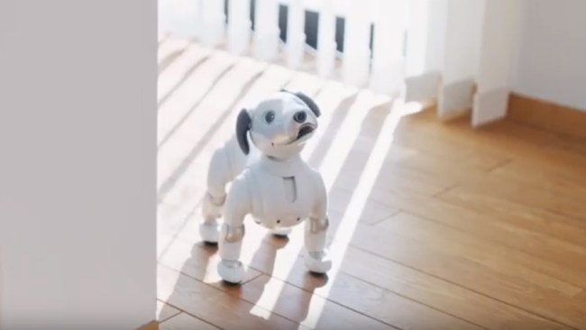 sony robot dog aibo