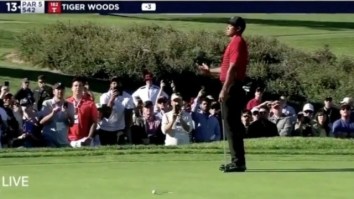 Tiger Woods Shanks A Birdie Putt After Some Idiot Yelled In His Backswing, Fans Heckle The Dude