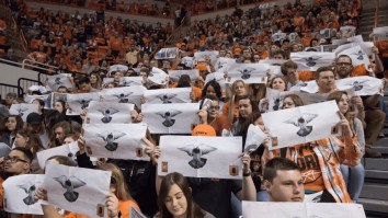Trae Young Is Getting Hardcore Trolled For His Fear Of Birds At Bedlam