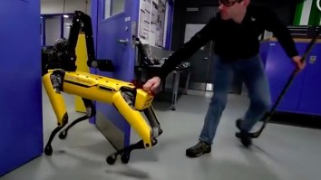 Boston Dynamics Has Taught Its Creepy Robot To Fight Back Against Humans And I Officially Surrender