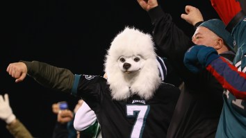 Do Yourself A Favor And Watch This Eagles Fan Wake Up From Wisdom Teeth Surgery And Think She Missed The Super Bowl