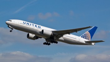 United Airlines Mistakenly Flies Family’s Dog To Japan, But The Reunion Was Awesome