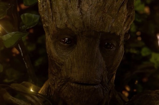 we are Groot