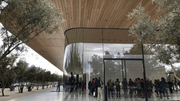 Apple Employees Are Actually Injuring Themselves By Walking Into Glass Walls