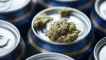 The Inventor Of Blue Moon Is Brewing (Non-Alcoholic) Beer Infused With THC