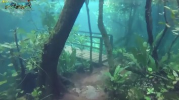 Heavy Flooding Perfectly Preserved A Hiking Path And Bridge Underwater And It’s Trippy AF