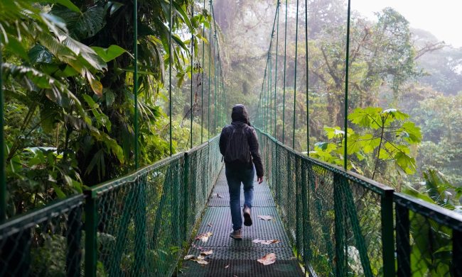 Costa Rica jungle bridge
