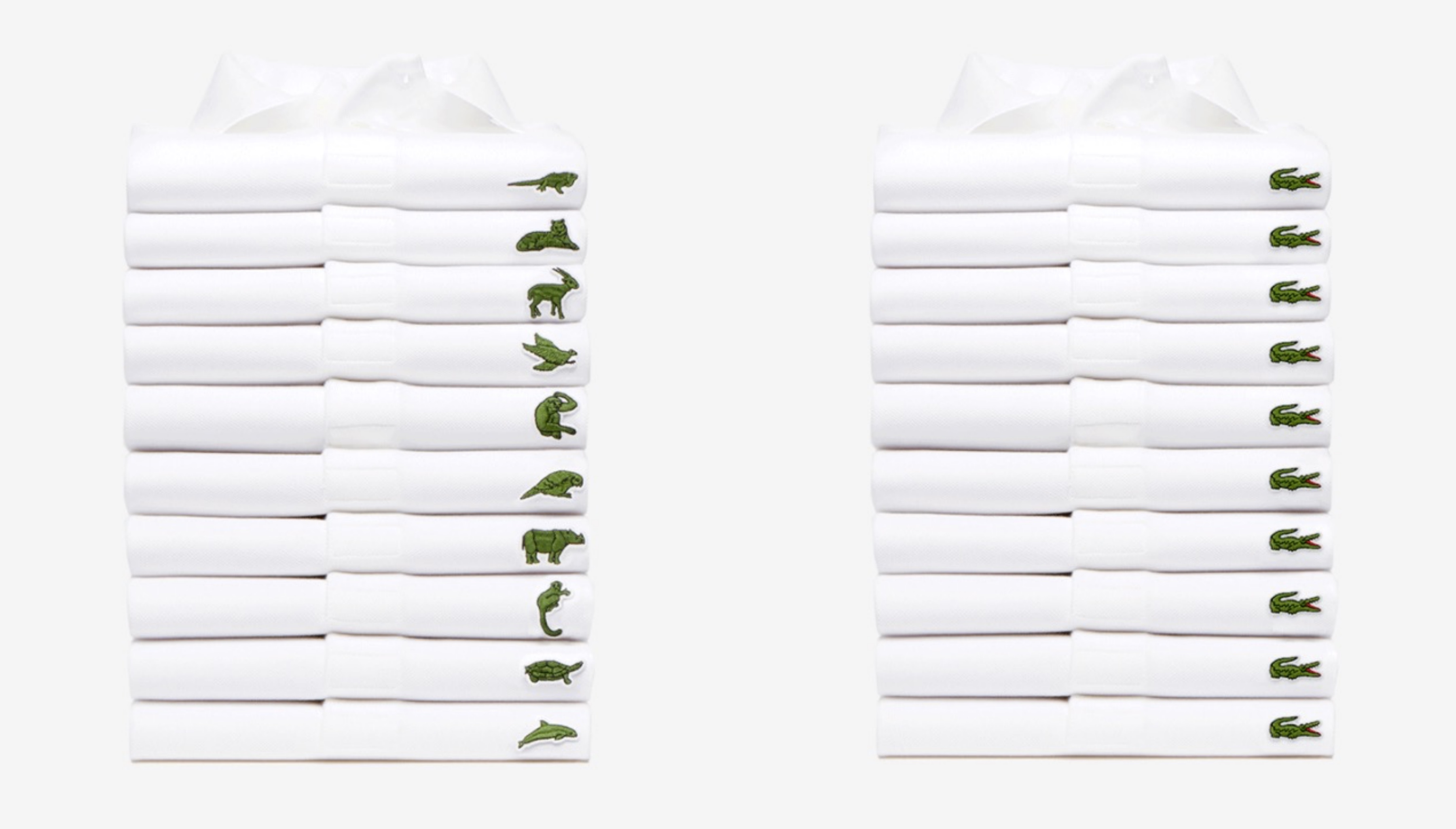 lacoste endangered species polo