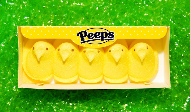 marshmallow peeps chicks