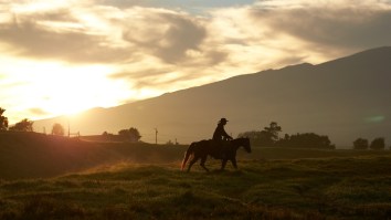 Parker Ranch On Hawaii’s Big Island Has Been Home To Cowboys For Centuries And It’s A Rugged Paradise
