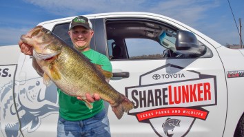 Fishermen Land A 13 And 15.48-Pound Bass In Texas’ Lake Fork In One Week!