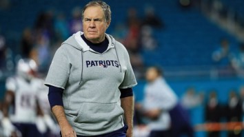 Bill Belichick’s New Puppy Has Its Own Hoodie With The Sleeves Cut Off Because Of Course It Does