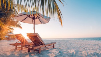 Hulu To Air A New Documentary Series On The Complete Disaster That Was The Fyre Festival