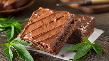 4 Delicious Recipes For Baking Up Something Phunky On 4/20