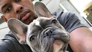 JuJu Smith-Schuster’s French Bulldog Puppy Escapes His Cage With Gravity-Defying Leap
