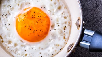 A Scary Percent Of Millennials Don’t Know How To Cook Spaghetti, Fried Eggs, Garlic Bread And Rice