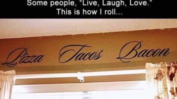 60 Of The Best Damn Photos On The Internet This Afternoon