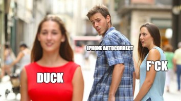 60 Of The Best Damn Photos On The Internet This Afternoon