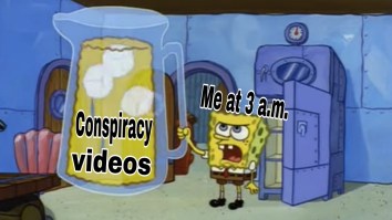 60 Of The Best Damn Photos On The Internet This Afternoon