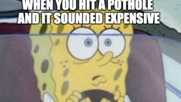 60 Of The Best Damn Photos On The Internet This Afternoon