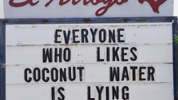 57 Of The Best Damn Photos On The Internet This Morning