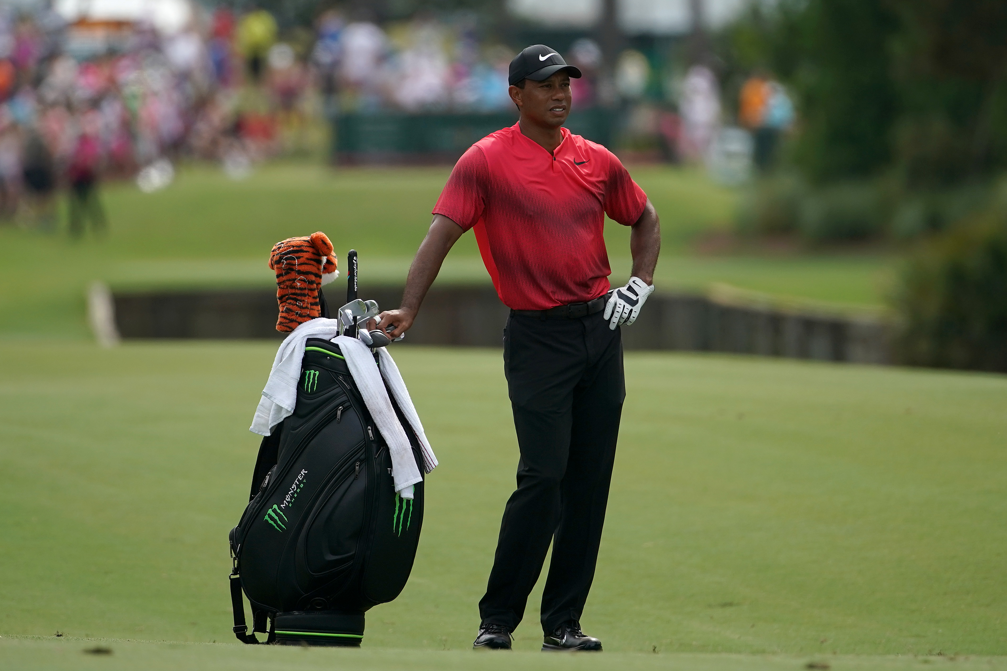Tiger Woods Makes Compelling Argument For Why Golfers Should Be Allowed