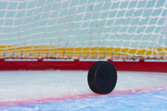 hockey puck in front of net