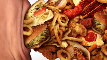 Eating Junk Food Isn’t Just Making You Heavy – It Could Be Screwing With Your Ability To Procreate