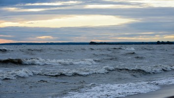 Cleveland Head Coach Hue Jackson Will Jump Into Lake Erie Because The Browns Went 0-16