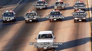 57 Of The Best Damn Photos On The Internet This Morning