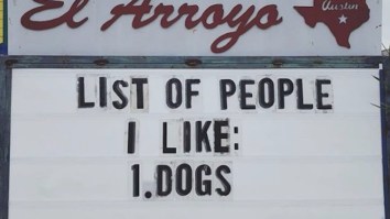 57 Of The Best Damn Photos On The Internet This Morning