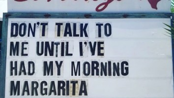 60 Of The Best Damn Photos On The Internet This Afternoon