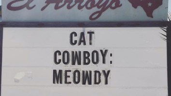 57 Of The Best Damn Photos On The Internet This Morning