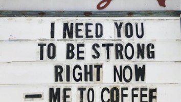 57 Of The Best Damn Photos On The Internet This Morning