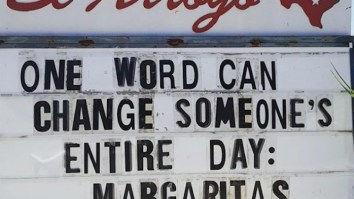 60 Of The Best Damn Photos On The Internet Today