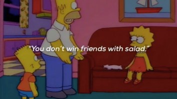 60 Of The Best Damn Photos On The Internet This Afternoon