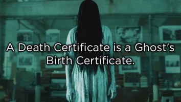 60 Of The Best Damn Photos On The Internet This Afternoon